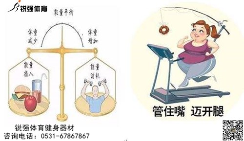 摄入 消耗能量对比.jpg 摄入 消耗能量对比.jpg